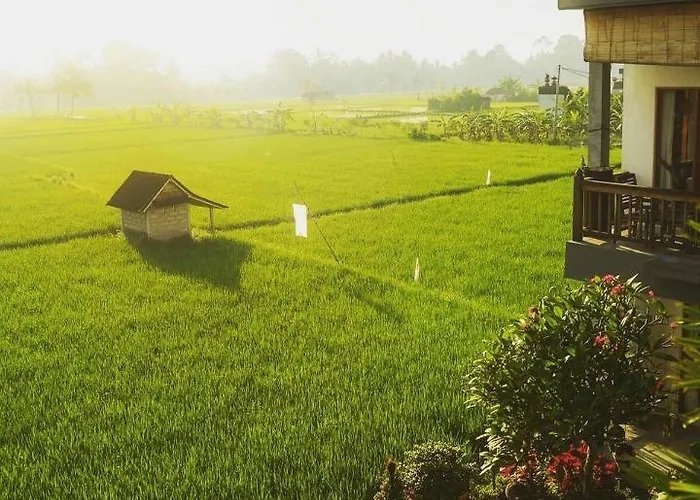 Silas Hotel Ubud (Bali)